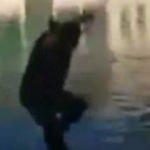 Canlı yayın yaparken Balıklıgöl’e düştü