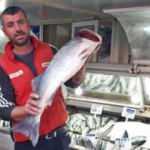 Gelibolulu balıkçı 7 kilogramlık levrek avladı