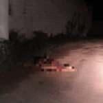 İzmir&rsquo;de feci kaza! 10 hamile koyun telef oldu   