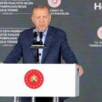 Son dakika haberi: Erdoğan'dan "Kavala" talimatı! İstenmeyen adam ilan edilecekler