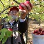 90'lık elma kurdu Ahmet dedenin en büyük hayali Cumhurbaşkanlığı Külliyesi’ne fidan dikmek