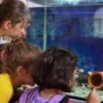 Osmaniye'de imam çocuklar için camiye akvaryum yaptırdı