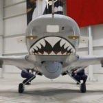 Fransa'dan Bayraktar TB2 açıklaması: Bu SİHA'nın Ukrayna'da kullanılmasından endişeliyiz