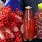 Halk arasında gençlik iksiri olarak biliniyor: Gilaburun bitkisinin kilosu 15 TL!