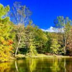 Doğa harikası Bayburt'ta kartpostallık manzaralar