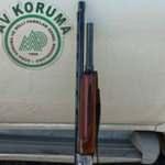 Koruma altındaki karacayı avlayan kişiye 8 bin 924 lira ceza
