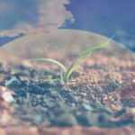 Rüyada toprakla uğraşmak ne demek? Rüyada toprak kayması neye işarettir?