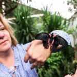 Yurt dışında g&ouml;r&uuml;p İstanbul'da kurdu! Ağızları yok