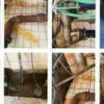 İBB, İstanbulluların sağlığını hi&ccedil;e sayıyor: Hamidiye suyu pislik i&ccedil;inde