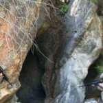 İçişleri duyurdu: Dev operasyon başladı!