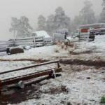 Karab&uuml;k&rsquo;e yılın ilk karı d&uuml;şt&uuml;, yaylalar beyaz &ouml;rt&uuml;ye b&uuml;r&uuml;nd&uuml;