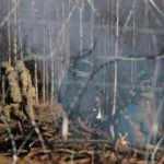 Polonya-Belarus sınırında sığınmacı krizi sürüyor