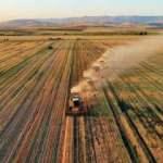AB'nin tarımsal üretimi 2020 yılında geriledi