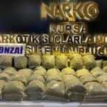 Bursa'da 58 kilo bonzai ele geçirildi