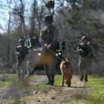 Sınırda 7 kişi yakalandı! FETÖ ve DEAŞ'lılar da var