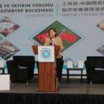 Başkan Şahin'den Çinli iş insanlarına mesaj