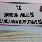 Roma dönemine ait 606 sikke ele geçirildi