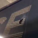 Fenerbahçe'nin otobüsüne İzmir'de taşlı saldırı!