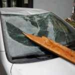 Lodos devirdi ge&ccedil;ti! T&uuml;rkiye'den korkutan fotoğraflar...