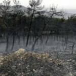Sakarya'daki örtü yangınında 10 dekar alan zarar gördü
