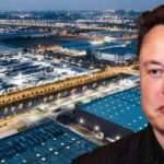 Elon Musk için yasayı bile değiştirdiler! Tesla'yı Çin'de ne bekliyor?