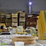 Tescilli "Osmaneli ayva lokumu"nun pazar ağı genişliyor