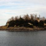 Doğu Karadeniz'in tek adası turizme kazandırılacak