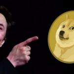 Elon Musk'tan Dogecoin hamlesi: Tesla ürünleri satın alınabilecek