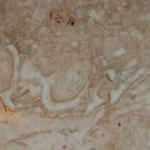 Antalya'da 'Bismillah' yazan mermer bulundu! Tam 195 milyon yıllık