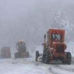 Kütahya Domaniç'te kar yağışı etkili oldu