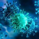 Omicron Balkanlar'a da sıçradı