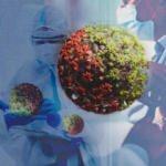 Omicron ile virüs gribe mi dönüşüyor?