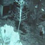 Sancaktepe&rsquo;de cami imamı sabah namazına uyanınca hayatının şokunu yaşadı