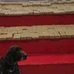 Van'da 102 kilo eroin ele ge&ccedil;irildi