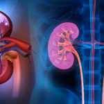 Böbrek kanseri belirtileri nelerdir? Böbrek kanseri kan tahlilinde çıkar mı?