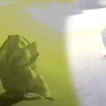 Malatya&rsquo;da akılalmaz olay! Başına &ccedil;uval ge&ccedil;irdi, &ccedil;alıntı kartla para &ccedil;ekti