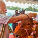 Modi: İnekler bizim için annedir