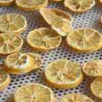 Portakal, muz ve limonu kurutup katma değerini artırdılar