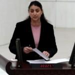 HDP'den Meclis'te akılalmaz soru önergesi