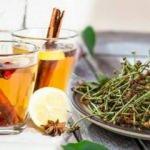 Kiraz sapı nasıl demlenir? Kiraz sapı çayı faydaları nelerdir?