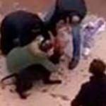 Köpek tartışmasına farklı bir bakış: Tehlikede olan sadece insan canı değil!