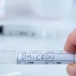 Omicron Hollanda'da baskın varyant haline geldi