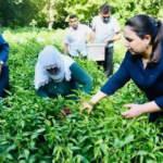 Adıyaman'ın Oyratlı biberi için coğrafi işaret başvurusu yapıldı