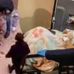 Pitbull saldırısına uğrayan Asiye'nin doktorun son durumu açıkladı