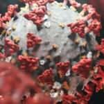 ABD'de Omicron kabusu; Vakaların yüzde 59'una ulaştı