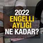 2022 engelli maaşı açıklandı! Yüzde 40-69 arası ve yüzde 70 üzeri engelli aylığı ne kadar?