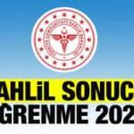 TC Kimlik NO ile tahlil sonucu &ouml;ğrenme: 2022 e-Nabız, e-Devlet, MHRS ile tahlil sonucu sorgula!