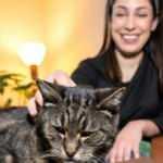 12 yıl önce kaybolan kedi evine döndü