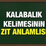 Kalabalık zıt anlamlısı nedir? Kalabalık kelimesinin eş anlamlısı ve örnek cümleleri...
