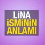 Lina isminin anlamı nedir? Lina isminin kelime anlamı ve kökeni...